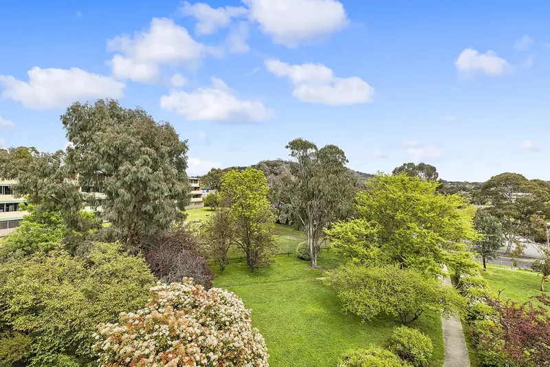31/6 Wilkins Street, Mawson, photo 14
