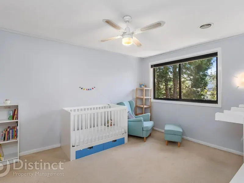 44 Stephen Street, Ainslie, photo 9