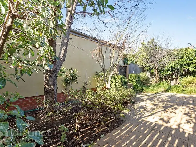43 Mary Kitson Street, Watson, photo 16
