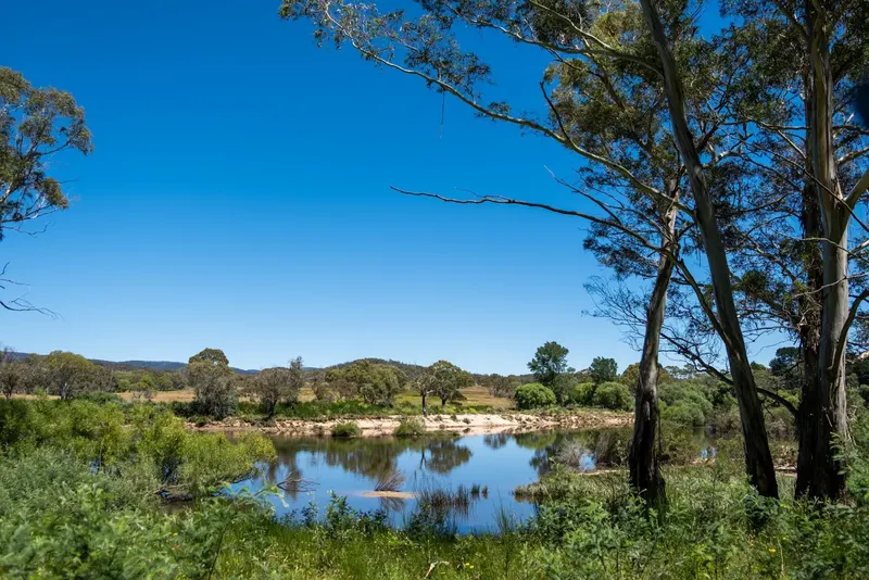 Sandholes Road, Braidwood NSW 2622, photo 10