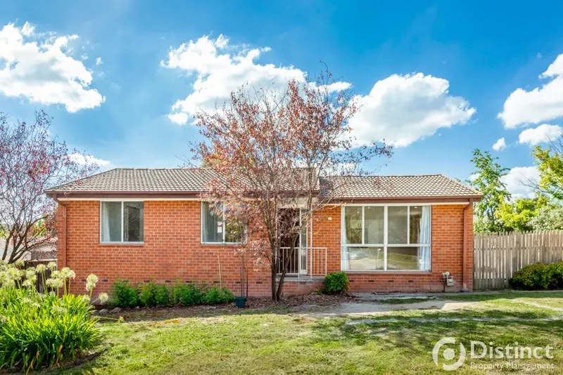 41 Spica Street, Giralang, photo 9