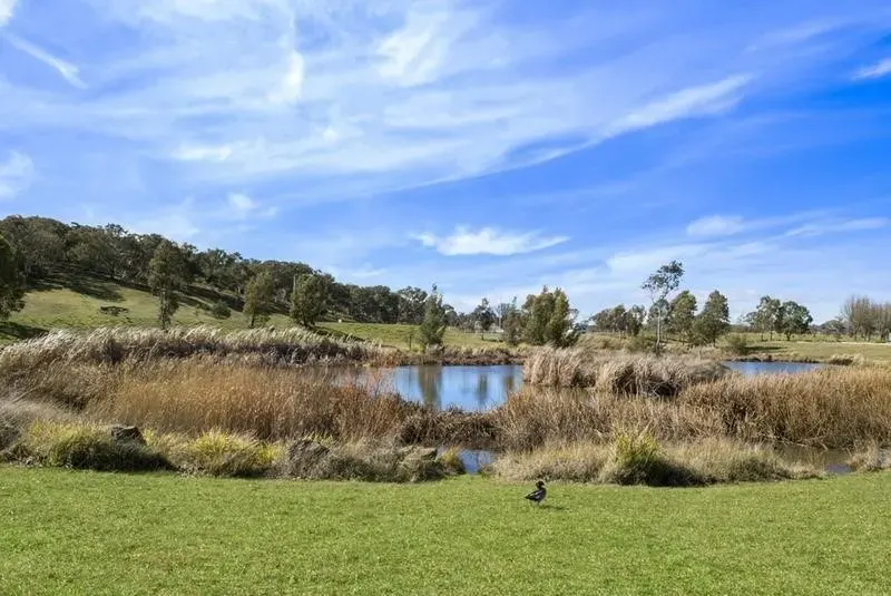 20 Petersilka Street, Gungahlin, photo 12