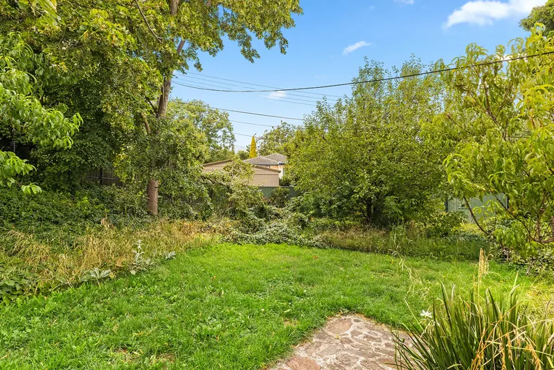 13a Harris Place, Hackett, photo 23