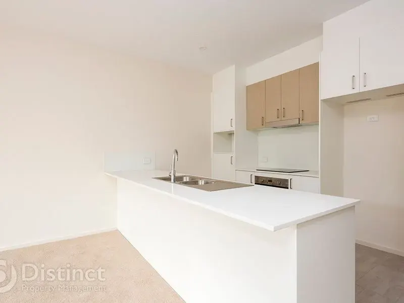 8/44 Tishler Street, Wright, photo 3