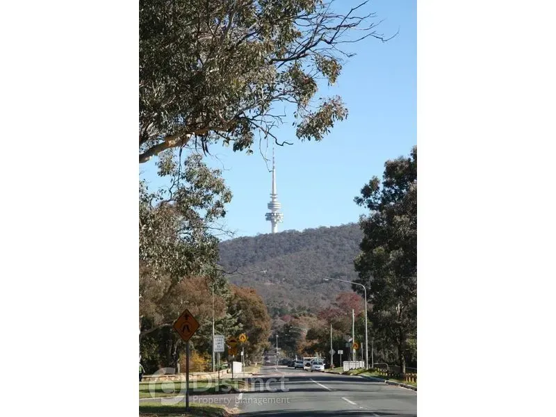 1/3 Bagot Street, O'connor, photo 16