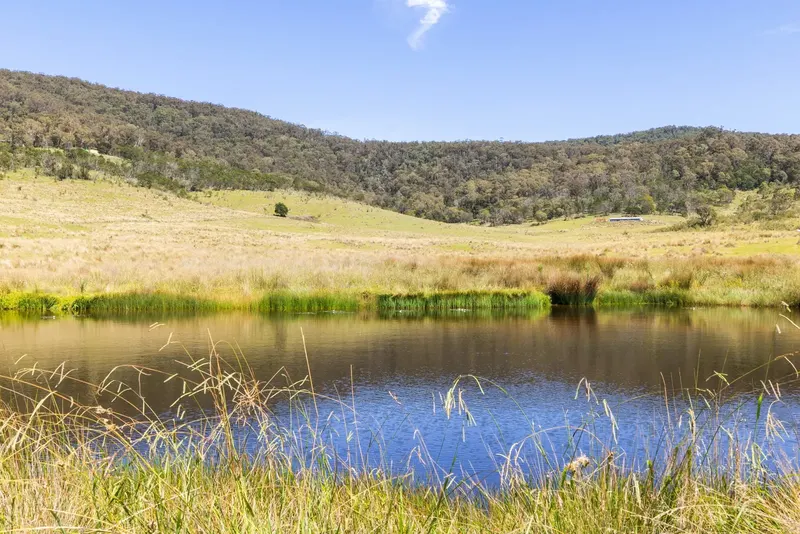 6 Silvertop Lane, Krawarree, photo 5