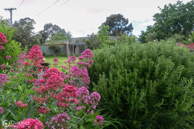 35 Madigan Street, Hackett, photo 15