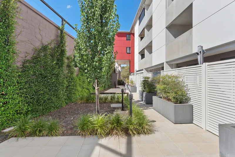 11/77 Leichhardt Street, Kingston, photo 12