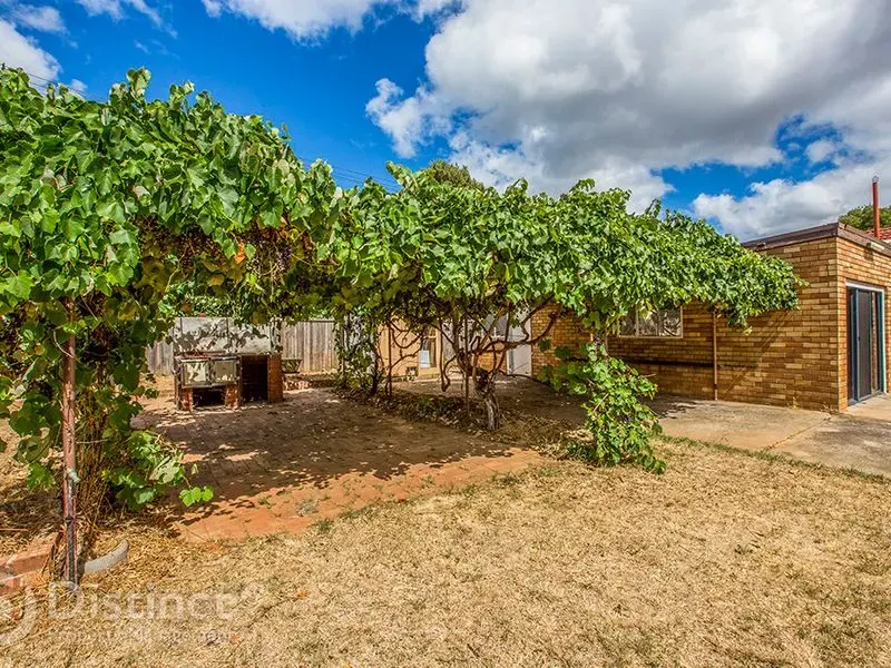 44 Phillip Avenue, Downer, photo 7