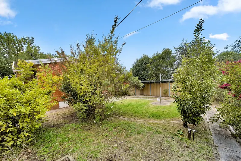 78 Dooring Street, Dickson, photo 8