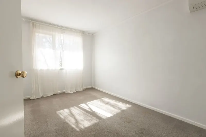 56 Morphett Street, Dickson, photo 5
