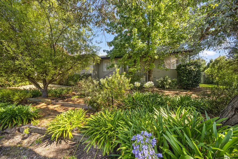 13 Fuhrman Street, Evatt