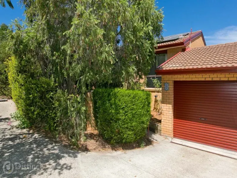 3/41 Ardlethan Street, Fisher