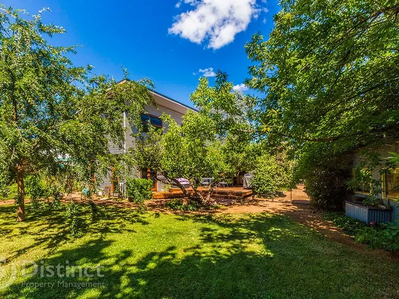 4 Steele Street, Hackett, photo 10