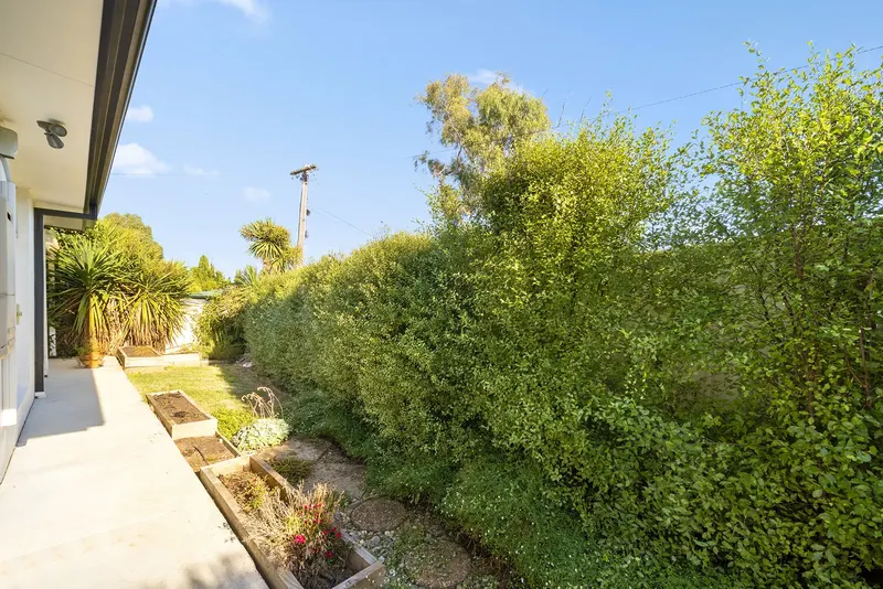 41a Spica Street, Giralang, photo 14