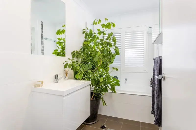 8/110 Henderson Road, Queanbeyan, photo 6
