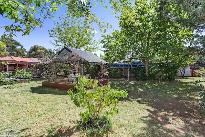 25 Wolff Crescent, Latham, photo 14