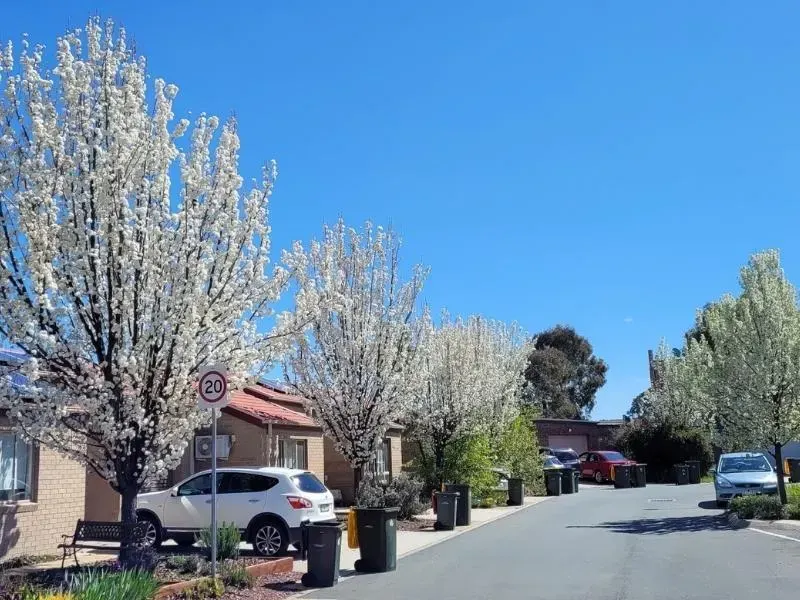 112 Oodgeroo Avenue, Franklin ACT 2913, photo 16