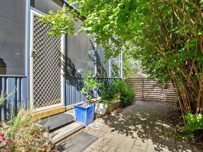 75 Hawdon Street, Dickson, photo 13