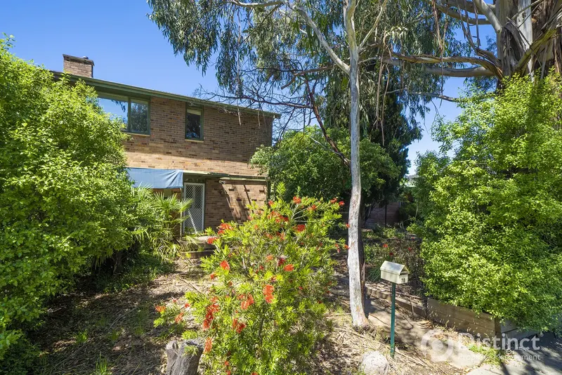 70 Cowper Street, Ainslie, photo 18