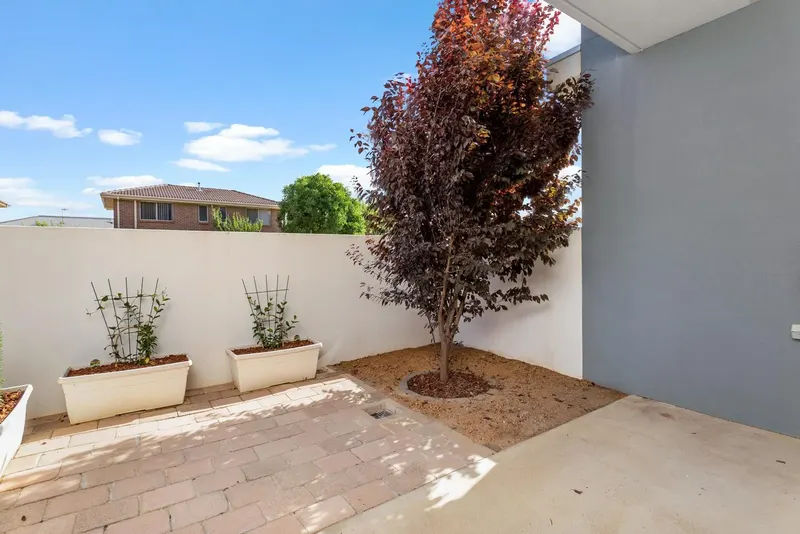 15/4 Sapling Street, Harrison, photo 12