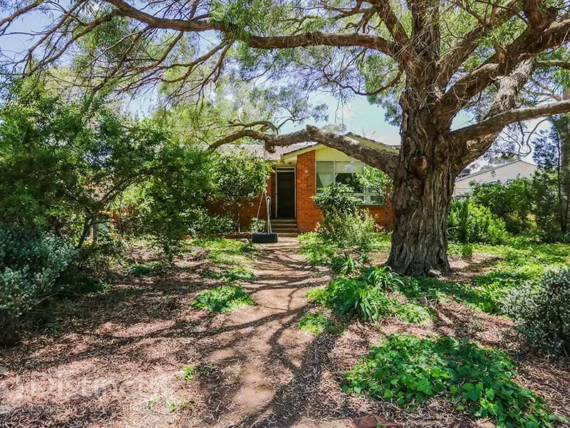 39 Nicholas Street, Higgins, photo 9
