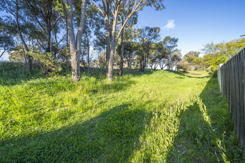 84 Rosewood Glen, Jerrabomberra, photo 18