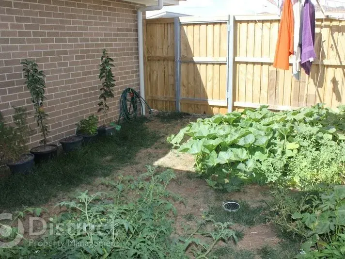 108 Roden Cutler Drive, Bonner, photo 10