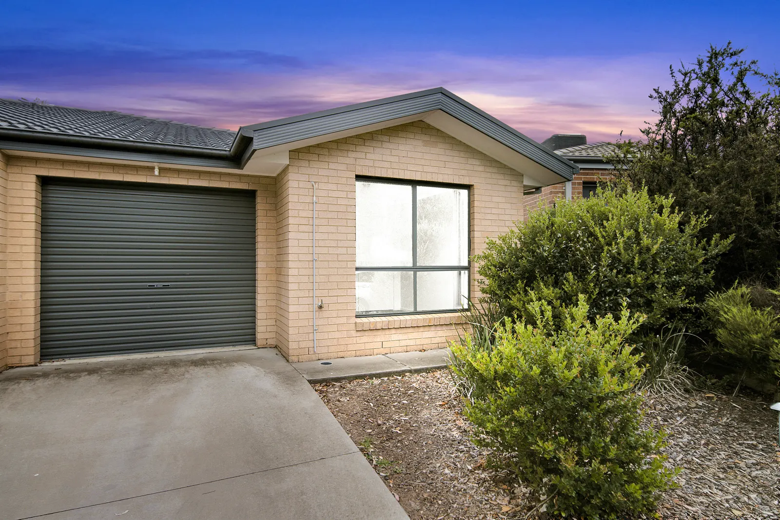 16 Phillipa Weeks Street, Watson, photo 1