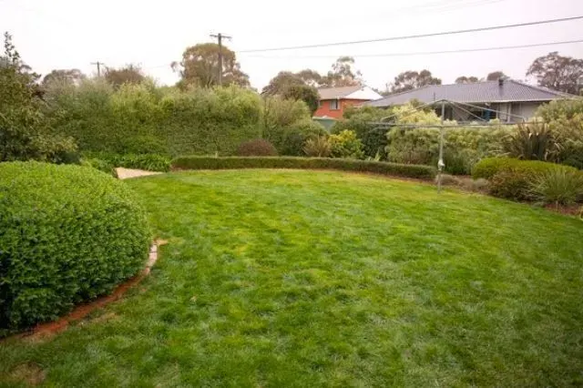 27 Broadbent Street, Scullin ACT 2614, photo 15