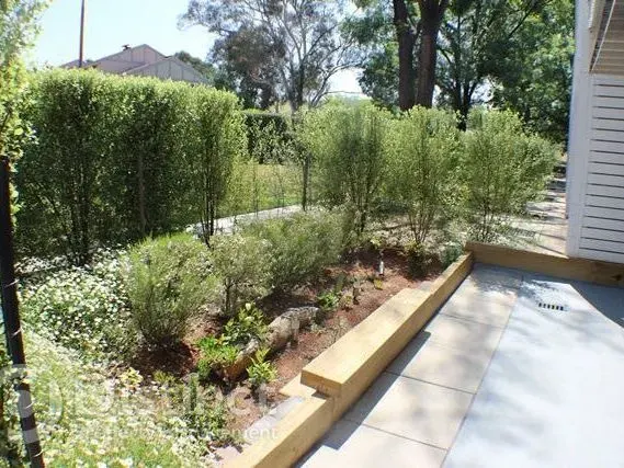 7/46 Mcmillan Crescent, Narrabundah, photo 7