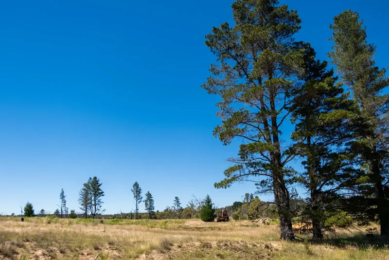 Sandholes Road, Braidwood NSW 2622, photo 8